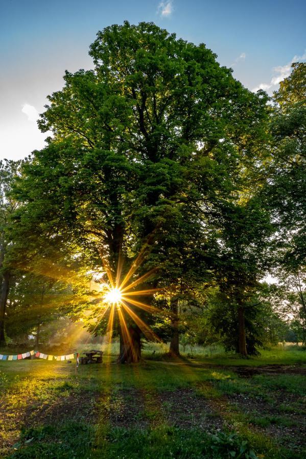 Biorezydencja Świeradów-Zdrój Esterno foto