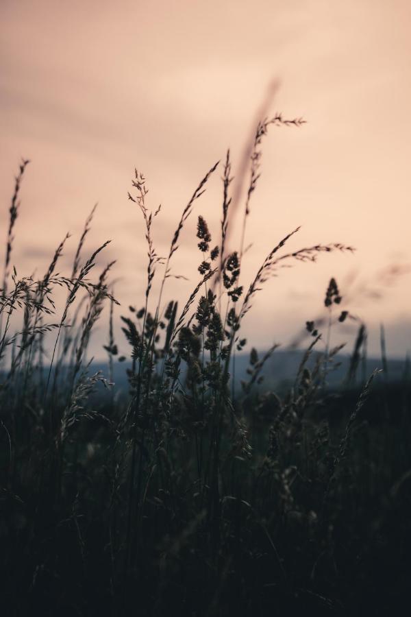 Biorezydencja Świeradów-Zdrój Esterno foto