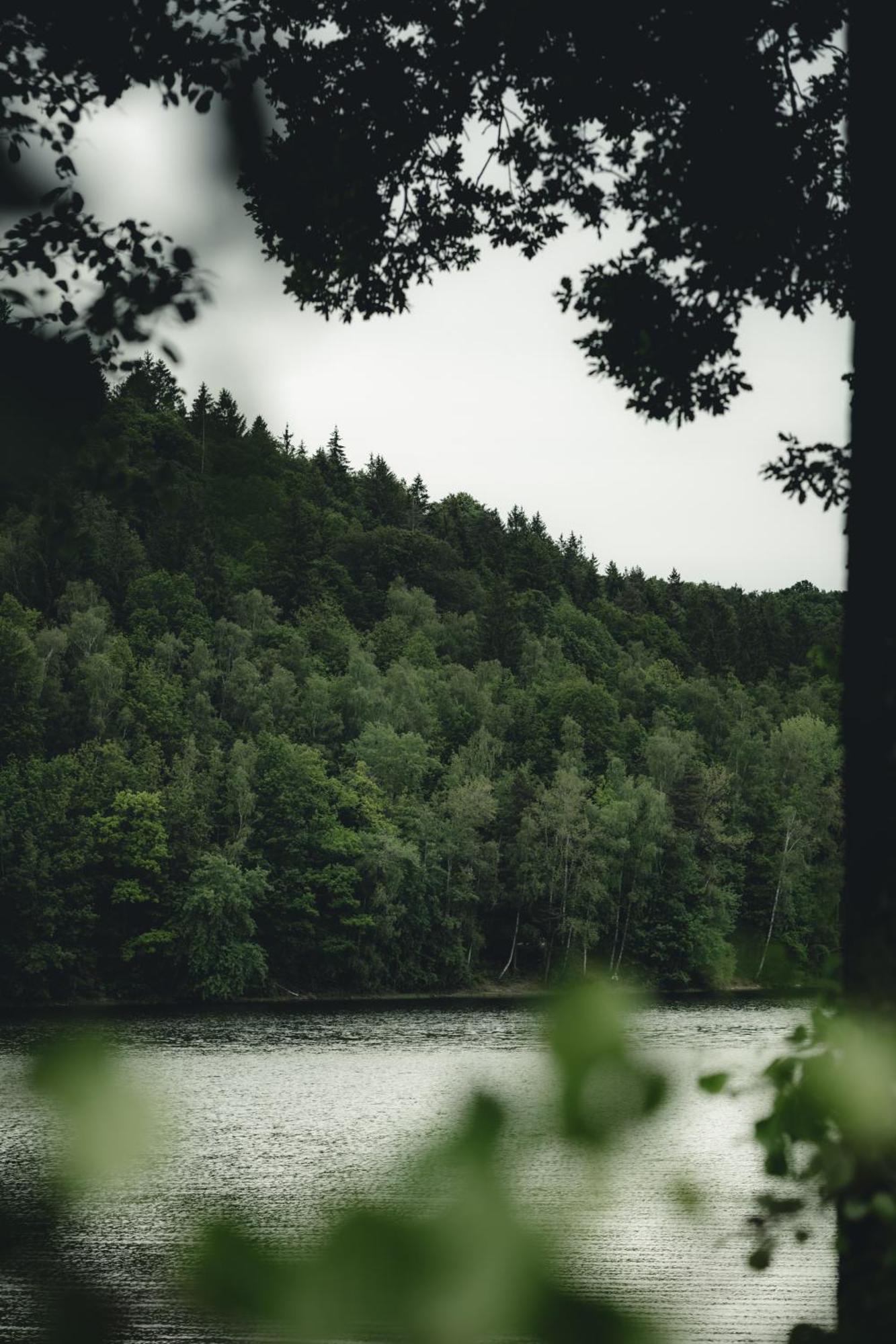 Biorezydencja Świeradów-Zdrój Esterno foto